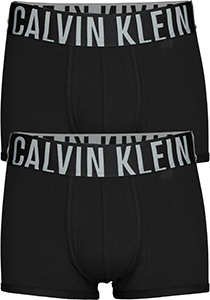 Calvin Klein INTENSE POWER Cotton trunk (2-pack), heren boxers normale lengte, zwart
