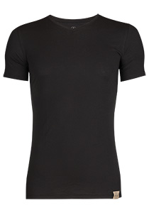 RJ Bodywear The Good Life T-shirts (2-pack), slim fit heren T-shirts V-hals, zwart  