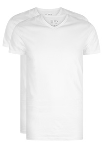 RJ Bodywear Everyday Gouda T-shirts (2-pack), heren T-shirts V-hals smal, wit 
