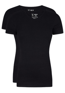 RJ Bodywear Everyday Leeuwarden T-shirts (2-pack), heren rib T-shirts V-hals, zwart