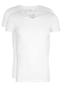 RJ Bodywear Everyday Den Bosch T-shirts (2-pack), heren stretch T-shirts V-hals, wit