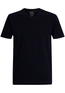 Gotzburg heren T-shirt V-hals (1-pack), donkerblauw
