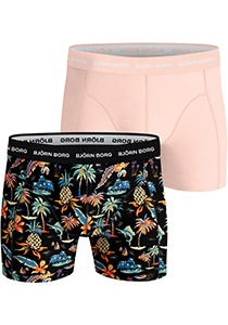Bjorn Borg Cotton Stretch boxers, heren boxers normale lengte (2-pack), multicolor