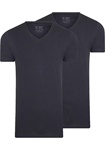 RJ Bodywear Everyday Den Bosch T-shirt (2-pack), heren T-shirt met V-hals, donkerblauw