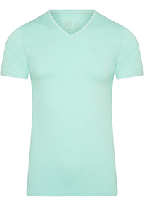 RJ Bodywear Pure Color T-shirt (1-pack), heren T-shirt met V-hals, mint