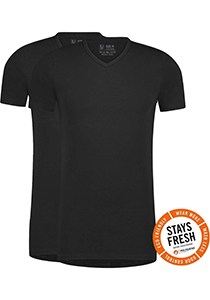 RJ Bodywear Everyday Venlo T-shirt (2-pack), heren T-shirt met V-hals, zwart