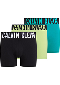 Calvin Klein Boxer Briefs (3-pack), heren boxers extra lang, zwart, zeegroen, limegroen