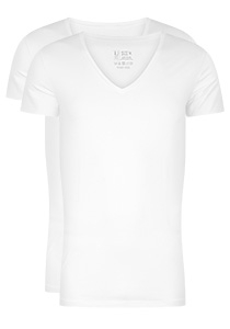 RJ Bodywear Everyday Nijmegen T-shirts (2-pack), heren stretch T-shirts diepe V-hals, wit 