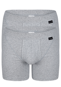 SCHIESSER Authentic shorts (2-pack), met gulp, grijs