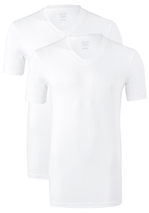 Claesen's Basics T-shirts (2-pack), heren T-shirts V-hals, wit