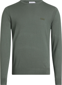 Calvin Klein heren pullover katoenmengsel, Cotton Silk Blend Cn Sweater, groen