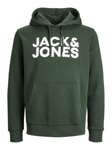 JACK & JONES Corp logo sweat hood regular fit, heren hoodie katoenmengsel met capuchon, groen grote print