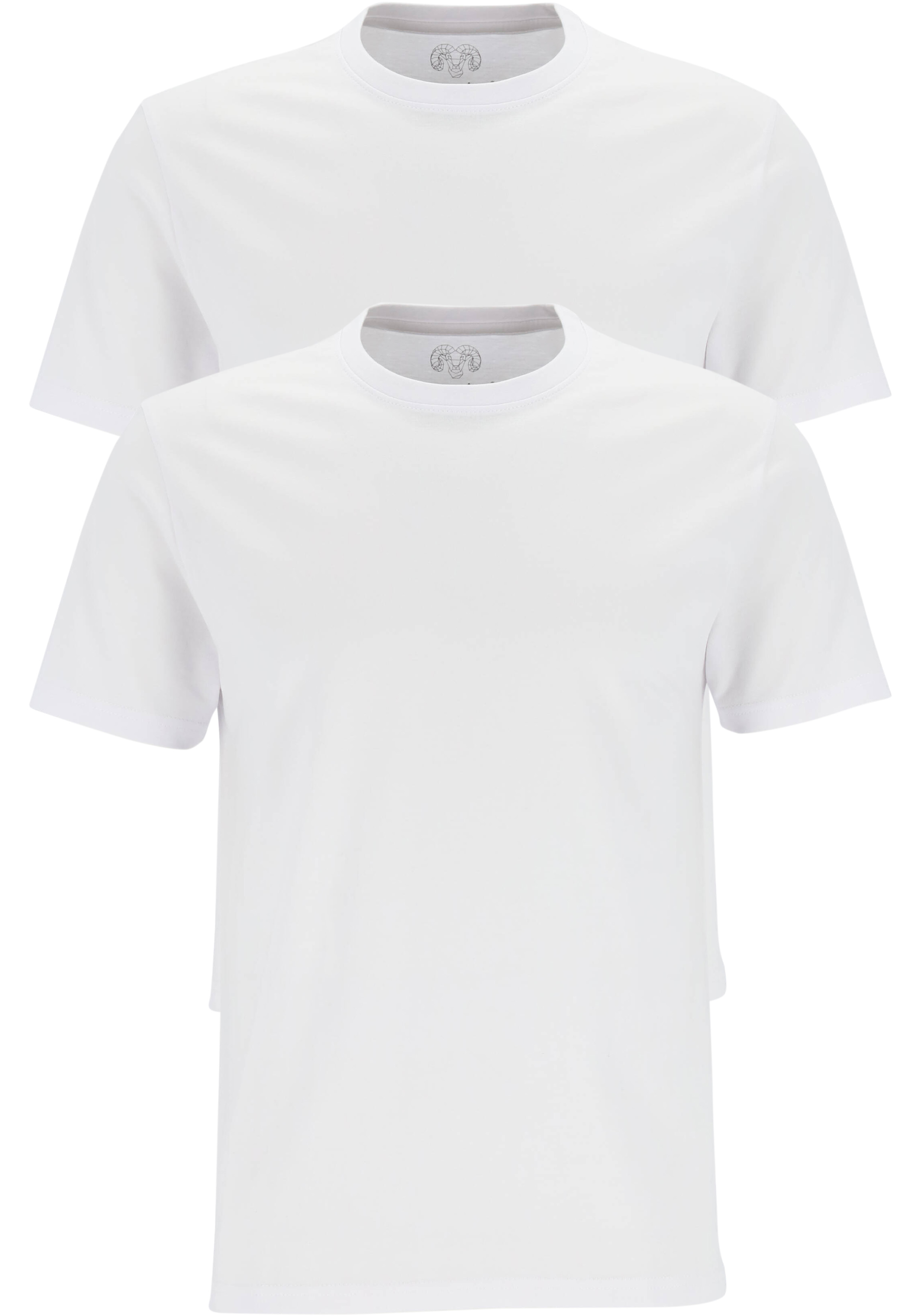 intellectueel Blanco geloof Ceceba heren T-shirts regular fit (2-pack), O-hals, wit - Shop de nieuwste  voorjaarsmode