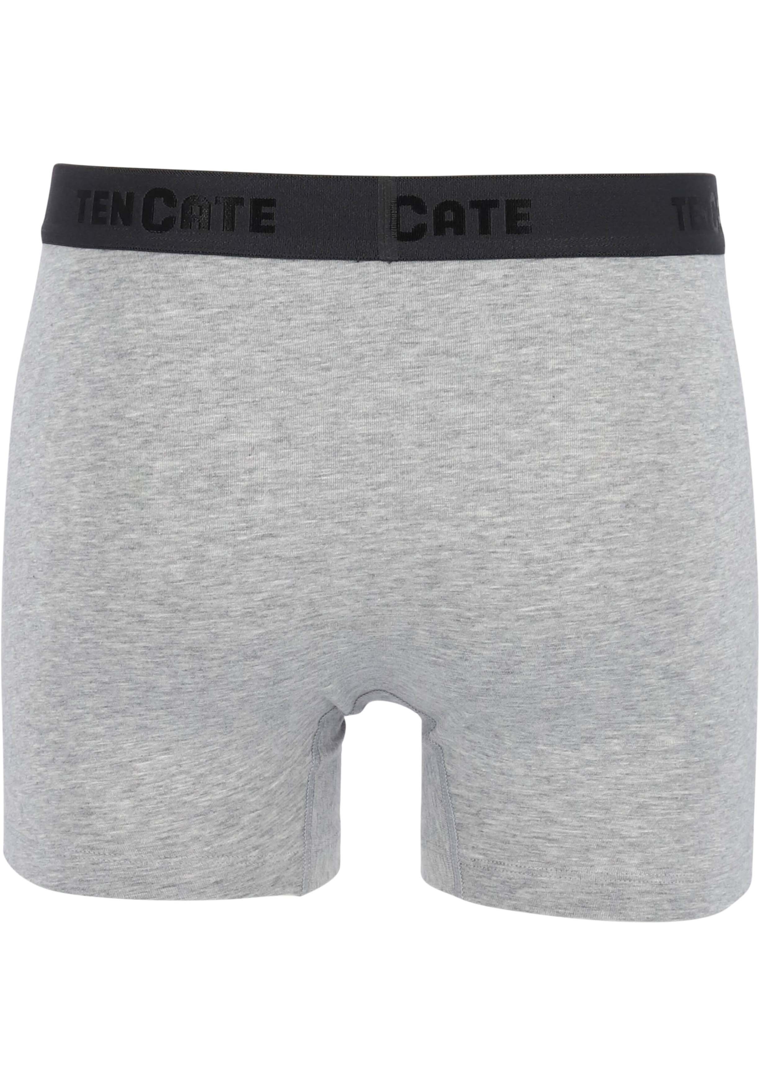 TEN CATE Basics men shorts (2-pack), heren boxers normale lengte, grijs melange