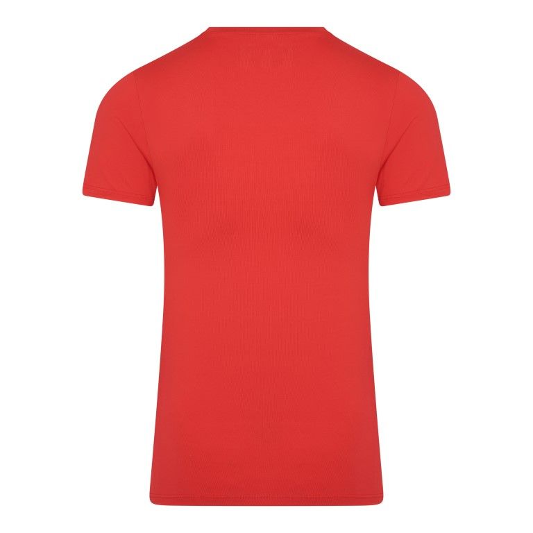RJ Bodywear Pure Color T-shirt (1-pack), heren T-shirt met V-hals, rood
