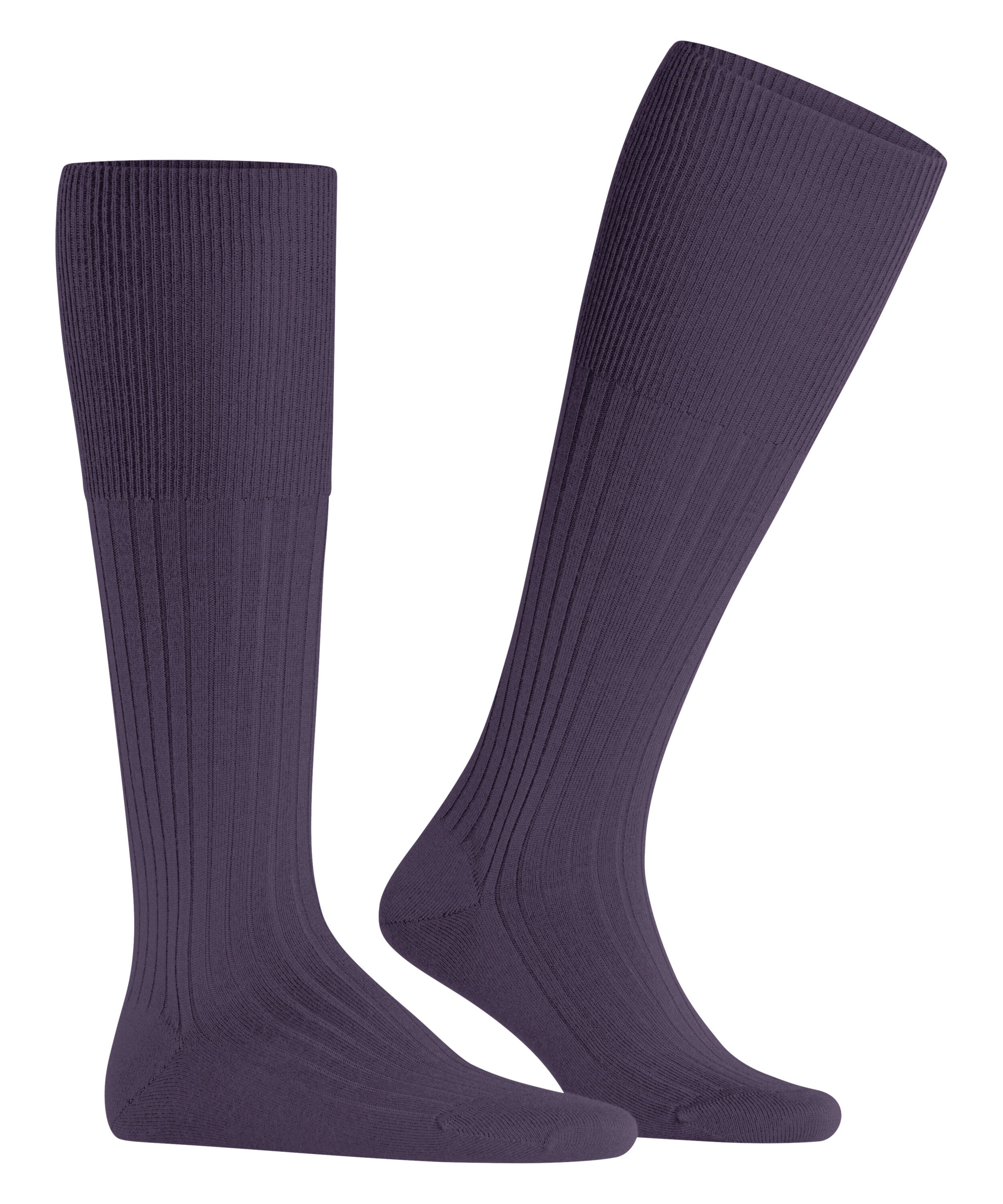 FALKE Bristol Pure heren kniekousen, paars (amethyst)