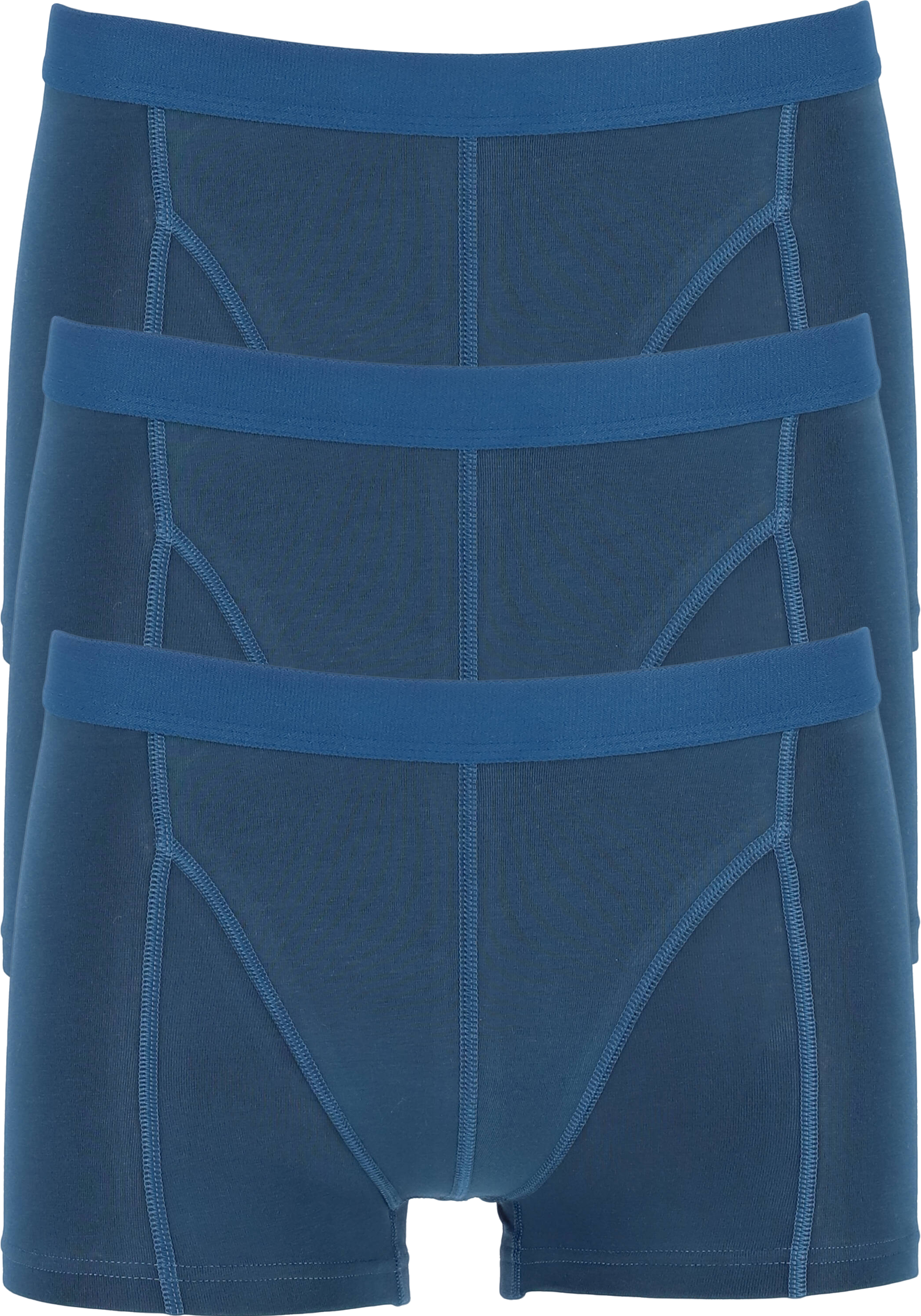 TEN CATE Basics men shorty (3-pack), heren boxer kort, blauw