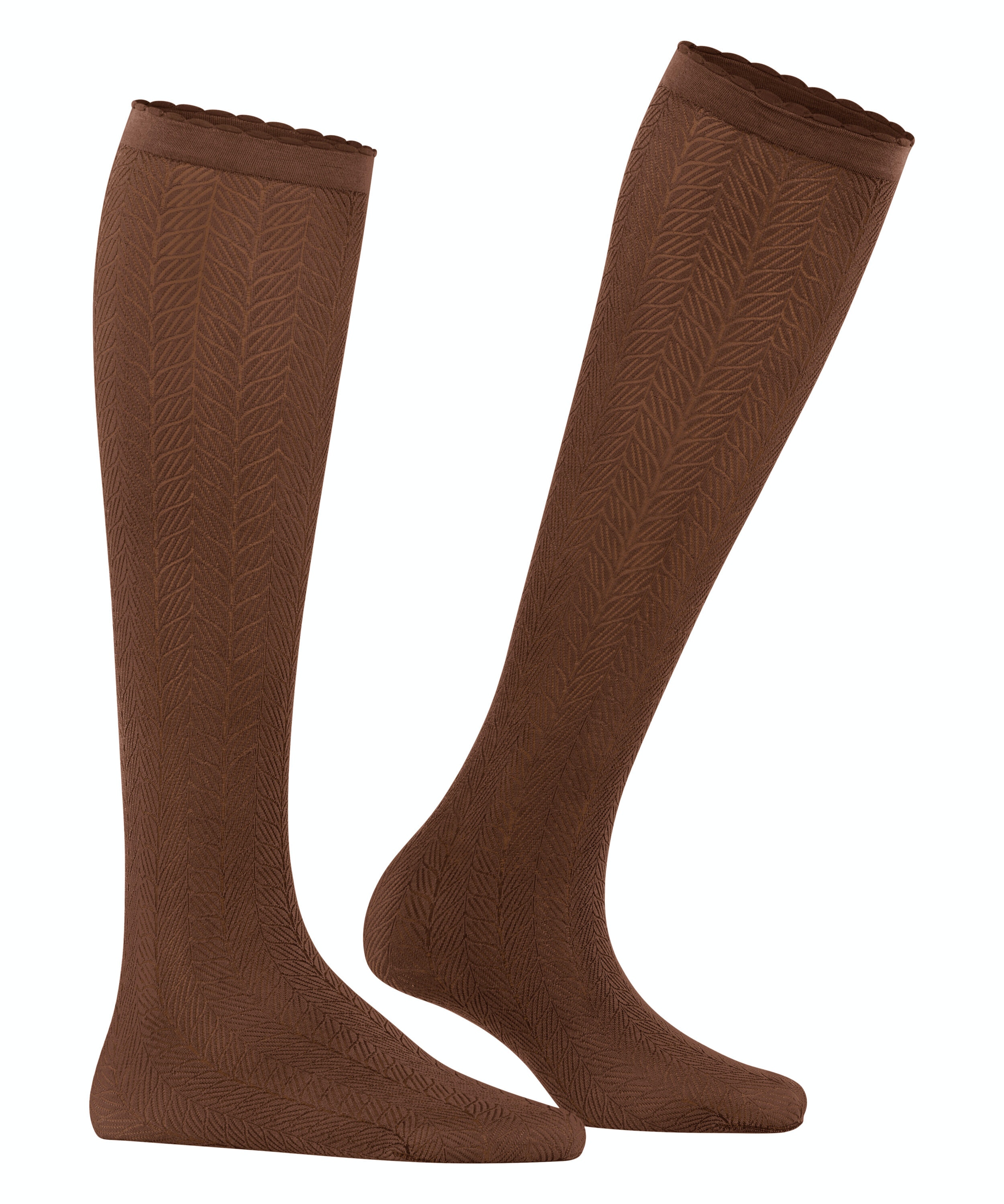 FALKE Chlorophyll 60 DEN dames kniekousen, cognac bruin (brandy)