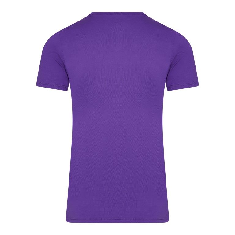 RJ Bodywear Pure Color T-shirt (1-pack), heren T-shirt met V-hals, paars