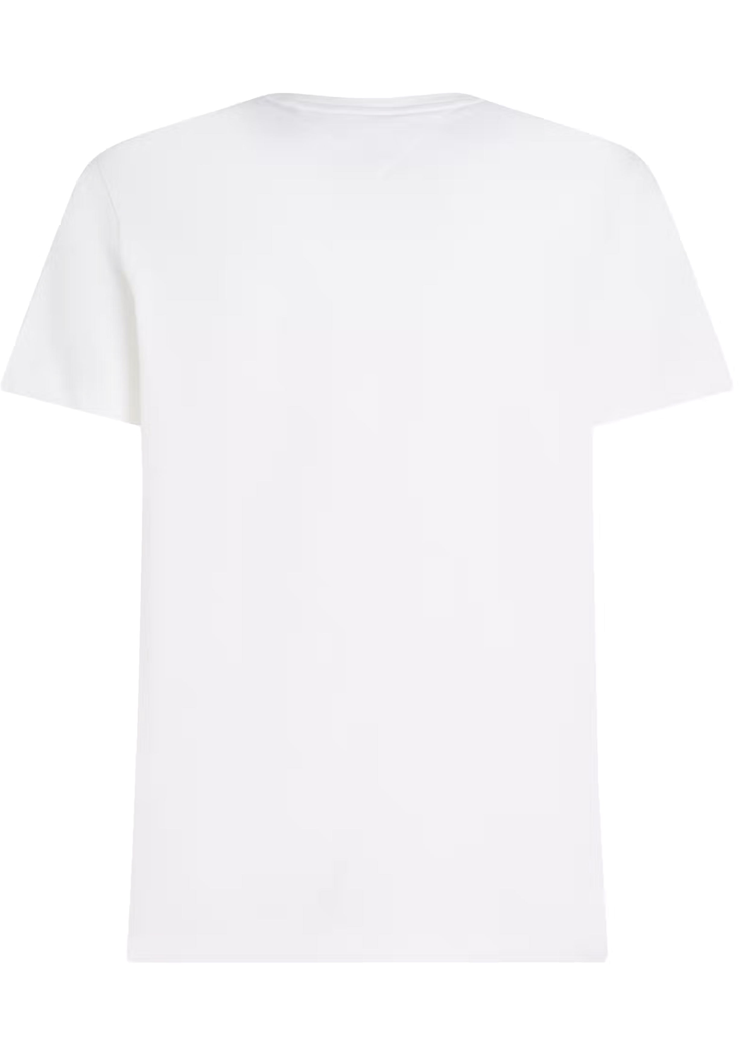 Tommy Hilfiger Essential V-neck Tee, heren T-shirt korte mouw O-hals, wit
