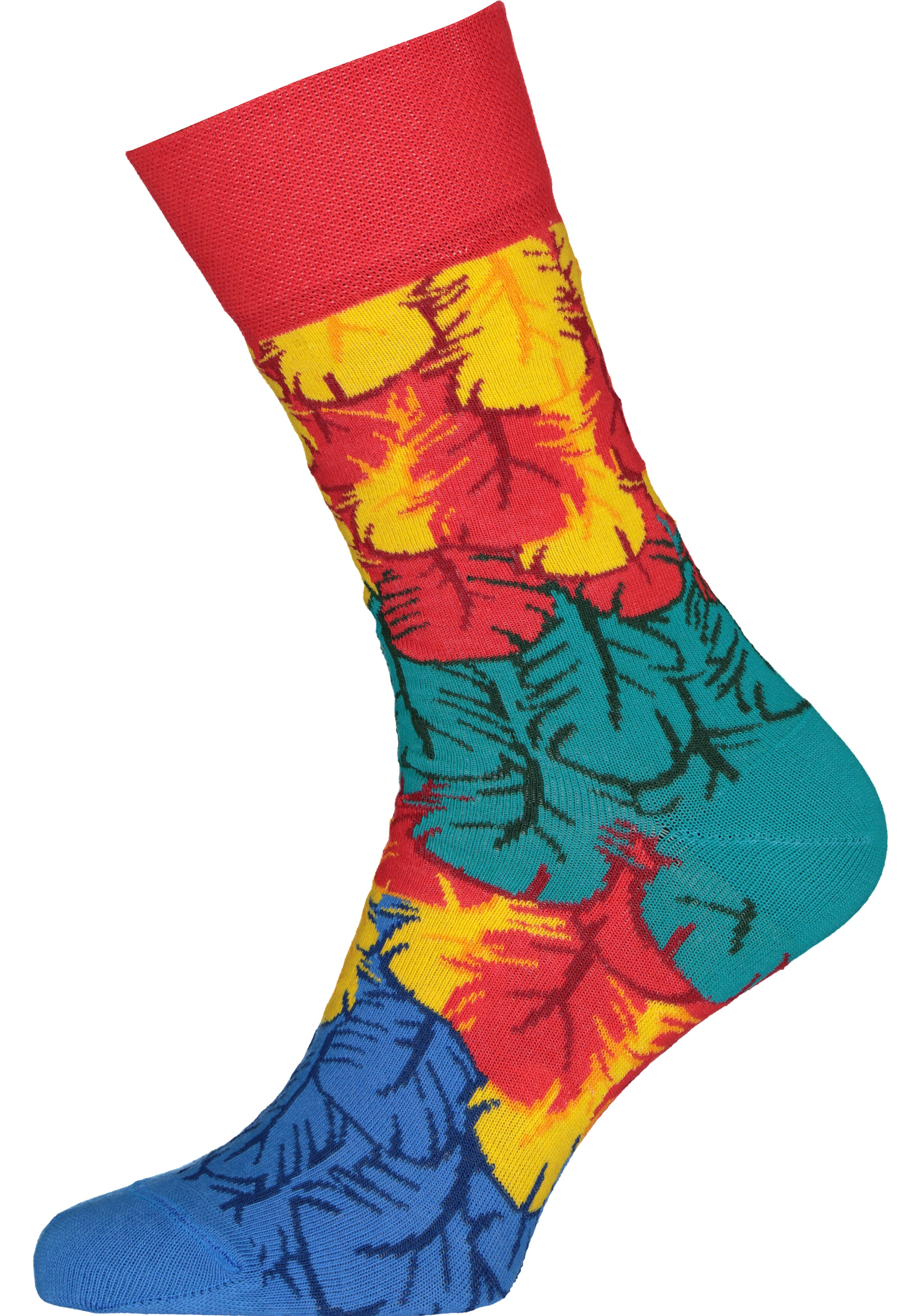 Many Mornings unisex sokken Paradise Parrot