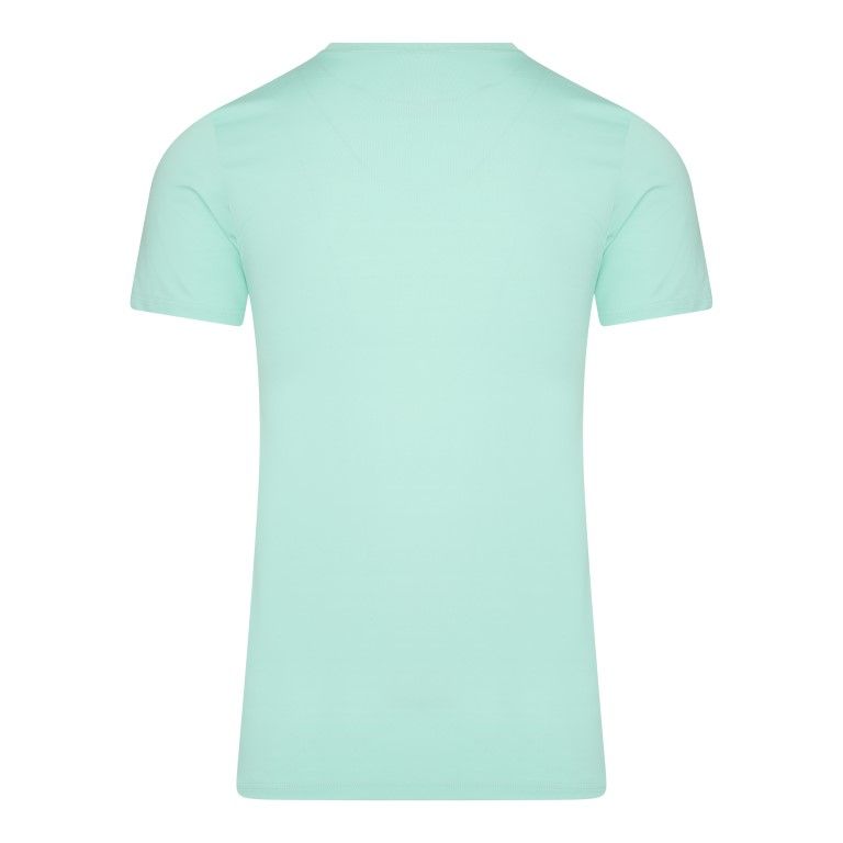 RJ Bodywear Pure Color T-shirt (1-pack), heren T-shirt met V-hals, mint
