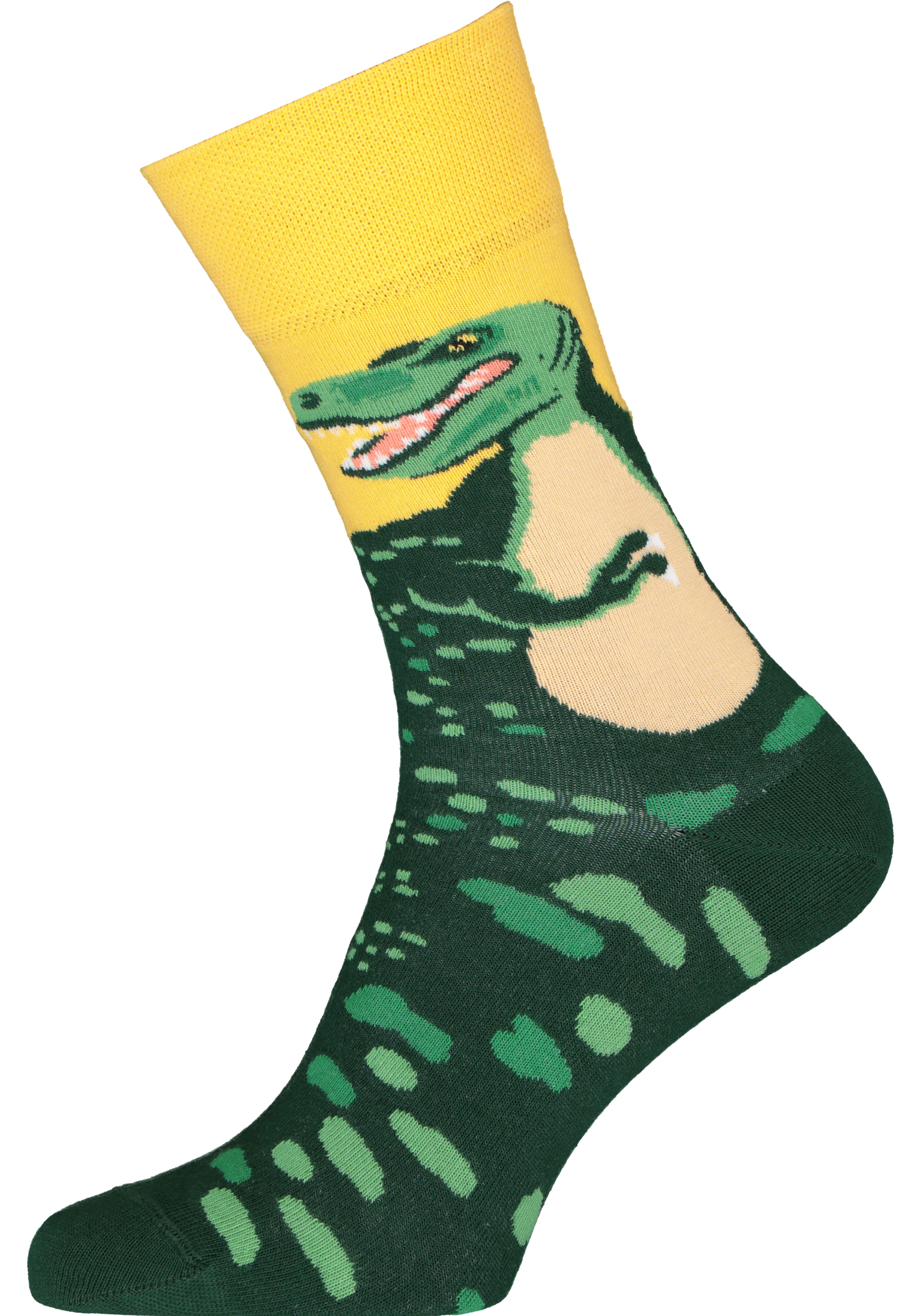 Many Mornings unisex sokken Dinosaurs