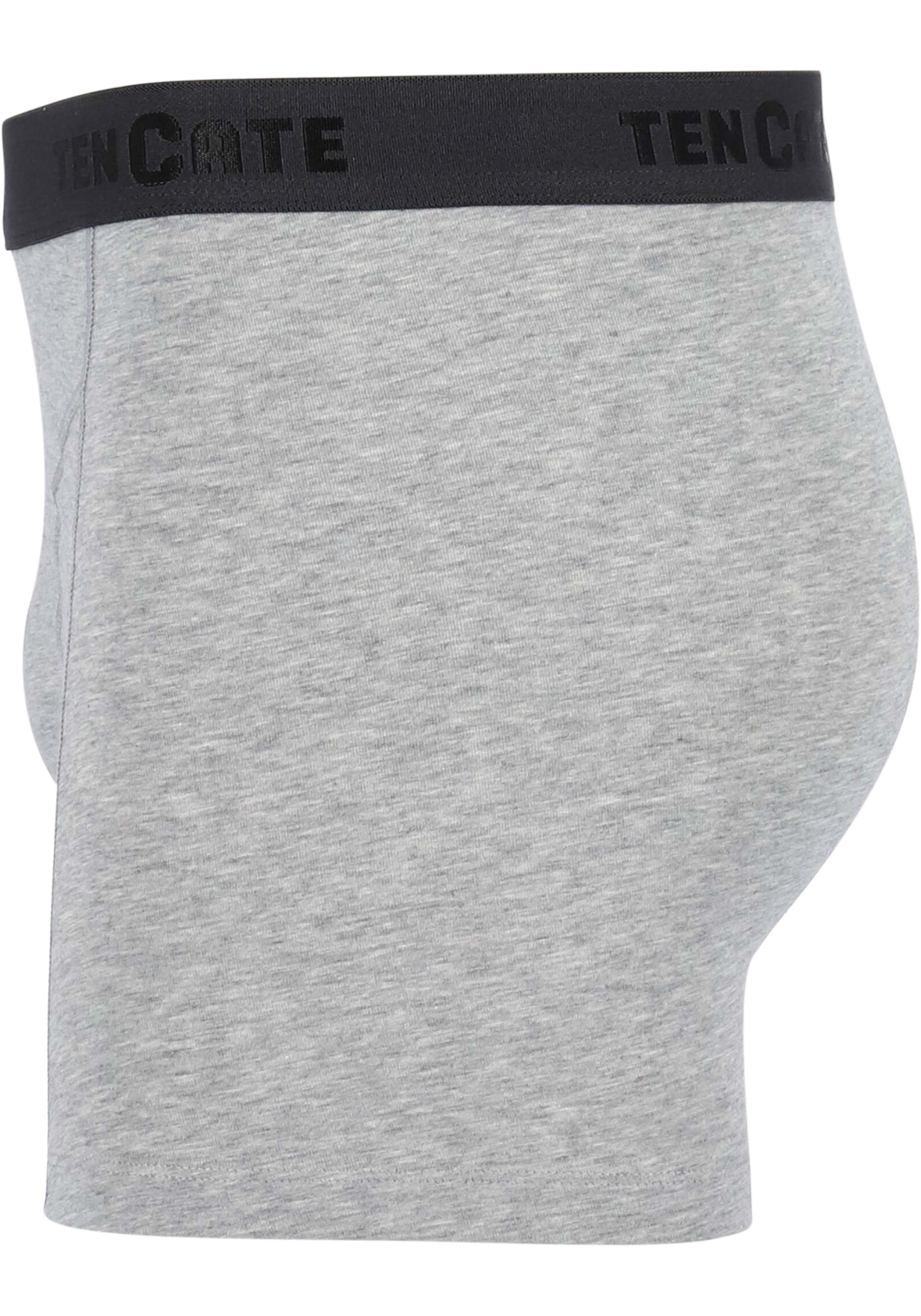 TEN CATE Basics men shorts (2-pack), heren boxers normale lengte, grijs melange