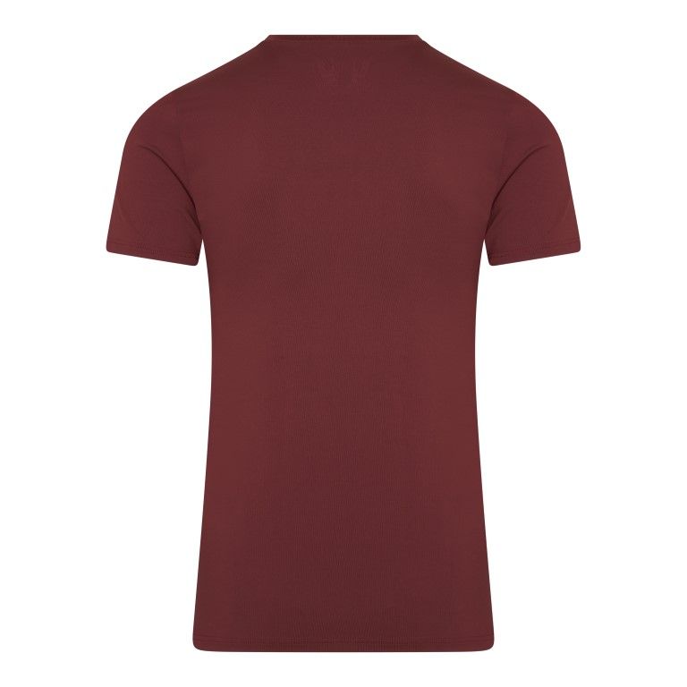 RJ Bodywear Pure Color T-shirt (1-pack), heren T-shirt met V-hals, port