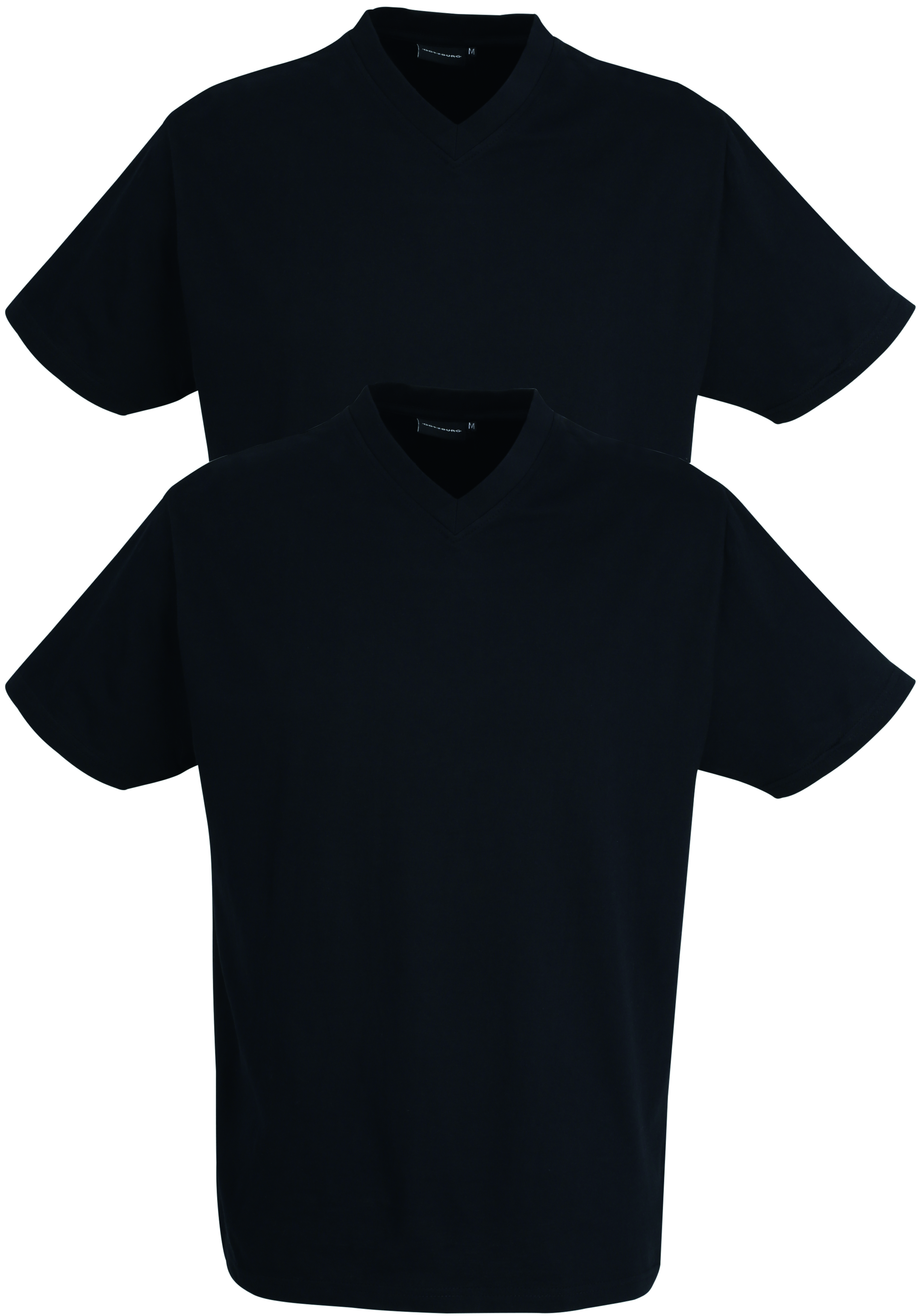 Gotzburg heren T-shirts regular fit V-hals (2-pack), zwart