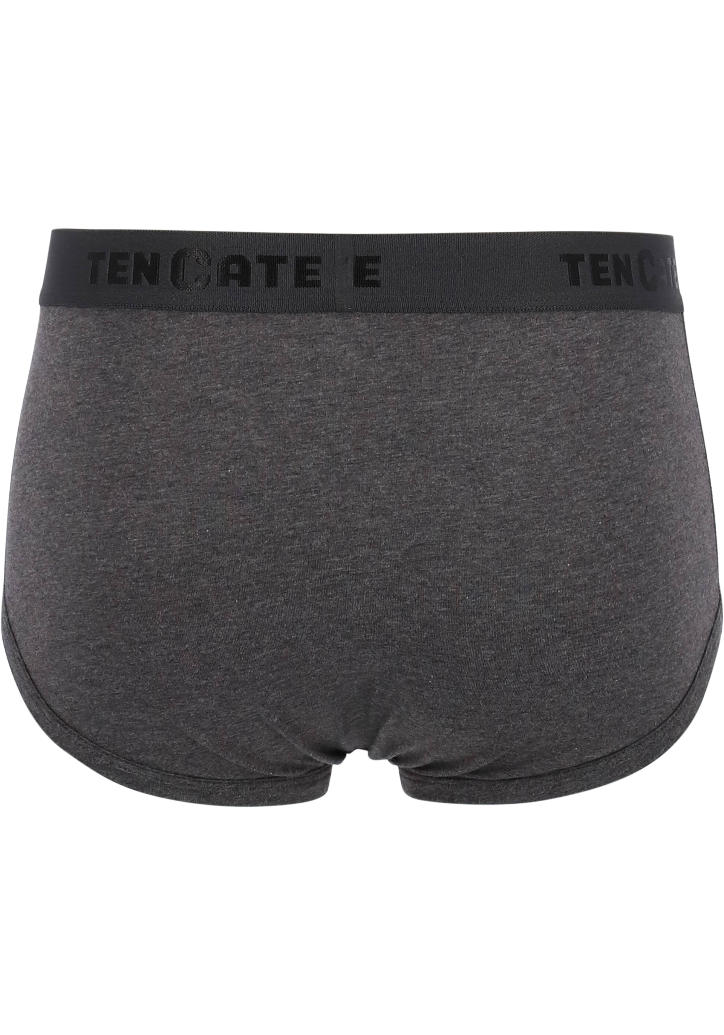 TEN CATE Basics men classic slip met gulp (2-pack), heren heupslips, antraciet grijs melange