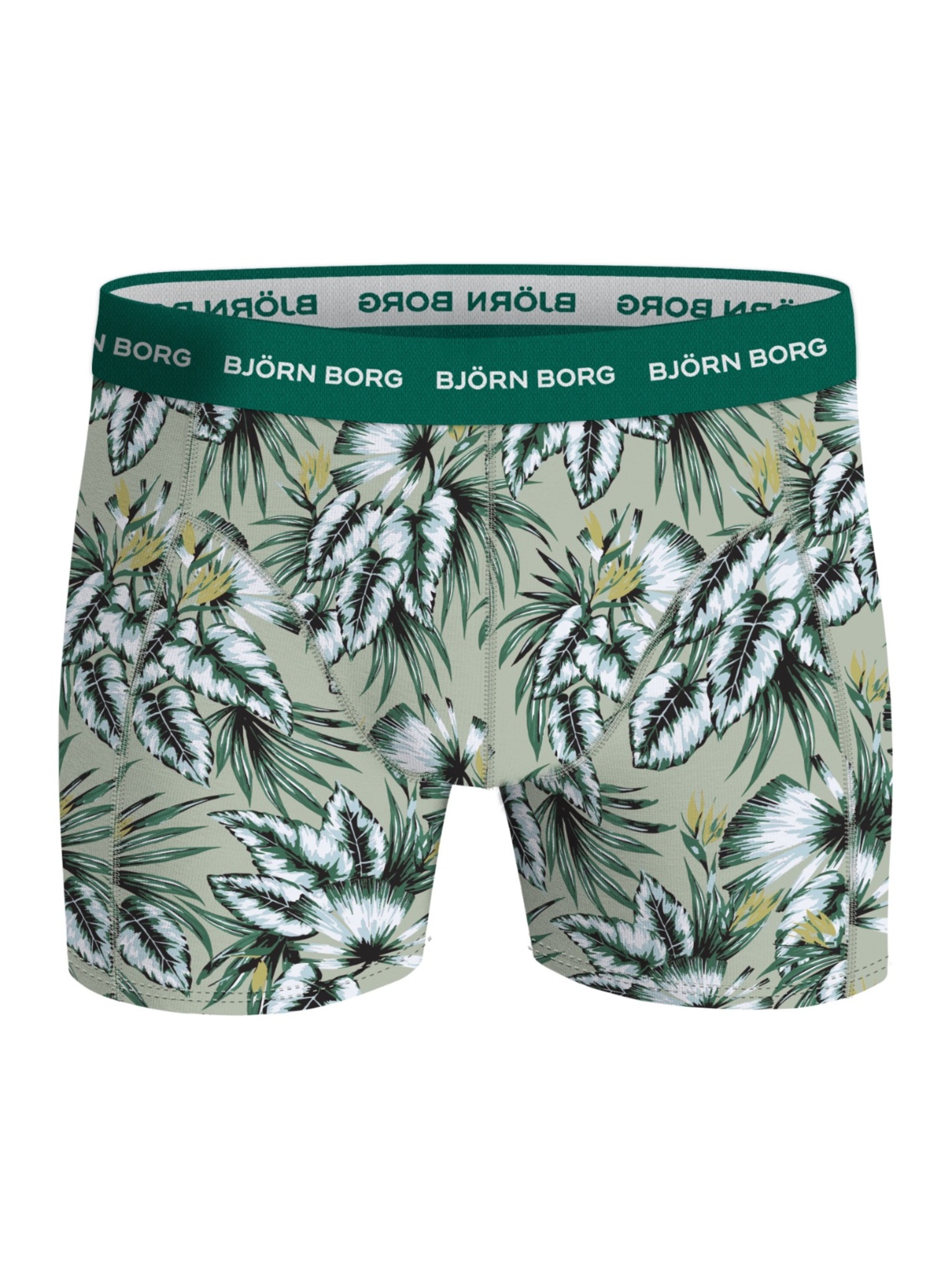 Bjorn Borg Cotton Stretch boxers, heren boxers normale lengte (5-pack), multicolor